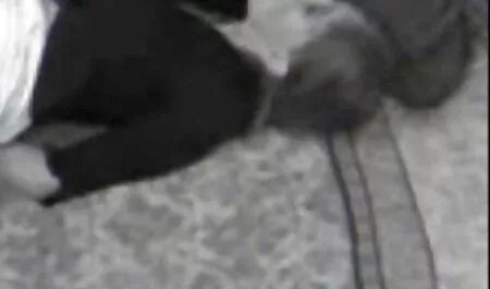 Kiitos, pillupornoa että autoit korjaamaan auton.